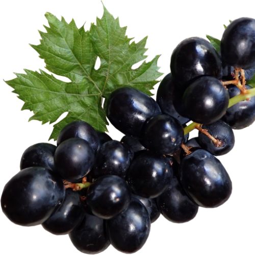 full-1763016747.jpg grapes - Image 1