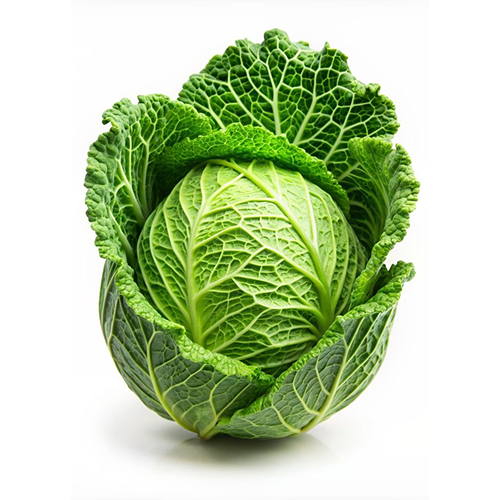 full-1763107155.png test - Image 1