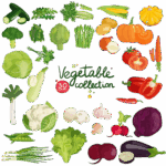 Fruit Vegetable (फल खाने तरकारी )