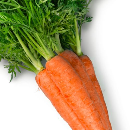 full-1765785526.jpg hamburger - Image 1