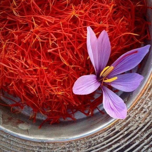 full-1771493615.jpg Saffron - Image 1