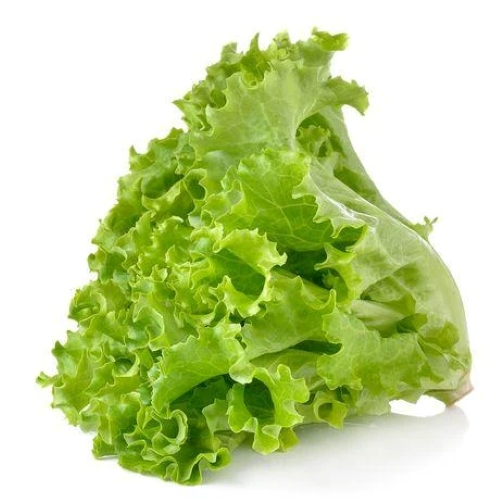 full-1772106677.jpg Lettuce - Image 1
