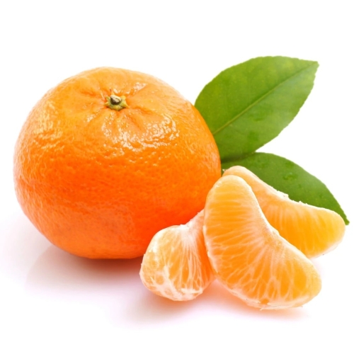 full-1772206866.jpg Feb27 Test2 - Image 1