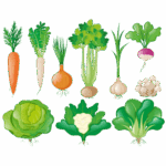 Root and Tuber(जरा वा गानो खाने)